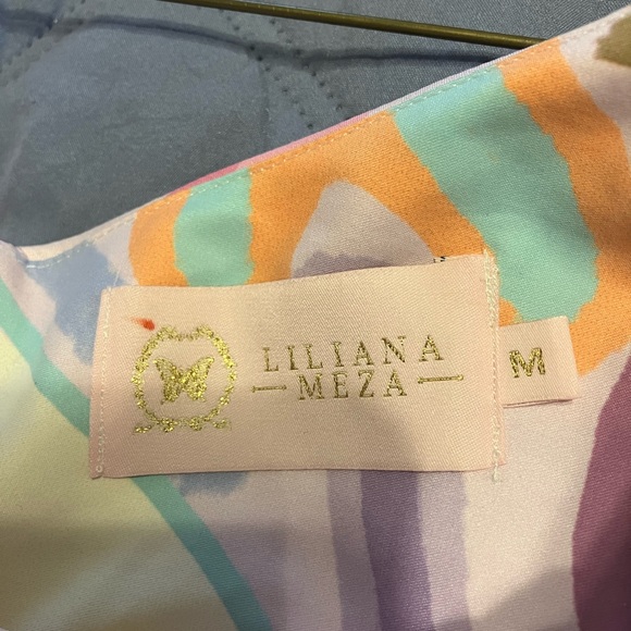 NWT $195 Liliana Meza Gianni dress Sz Medium.  Colorful & playful & comfortable - Picture 11 of 16